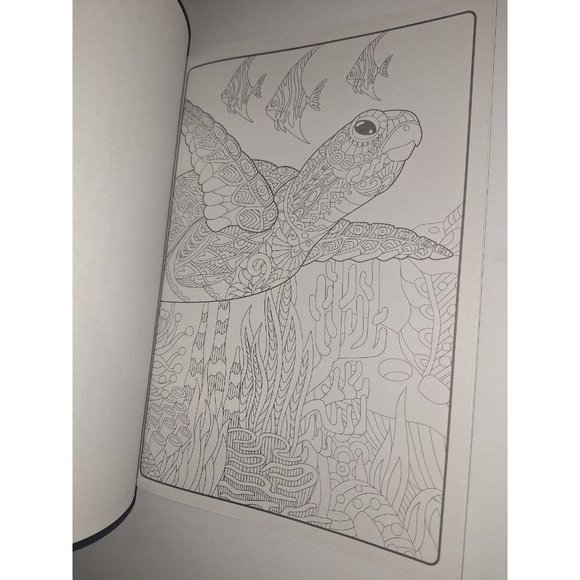 Landoll  Stress Relieving Advanced Adult Coloring Relax to Music Zbook - Picture 7 of 11